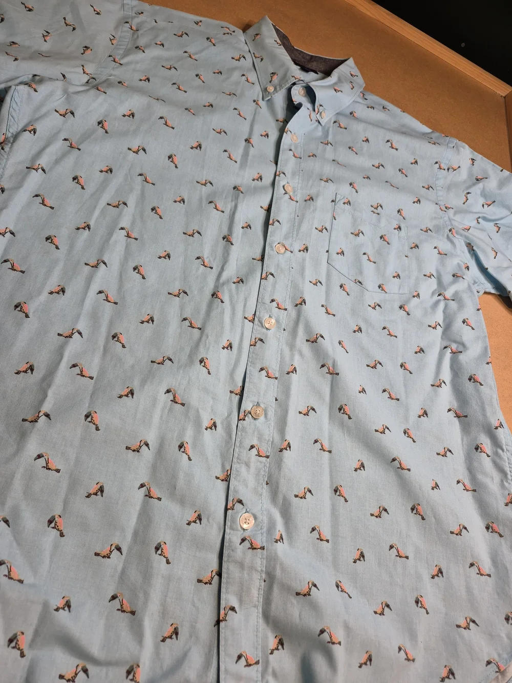 J. Crew Light Blue Short Sleeve Button-Down Shirt with Birds 4341/6